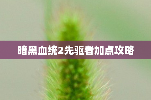 暗黑血统2先驱者加点攻略
