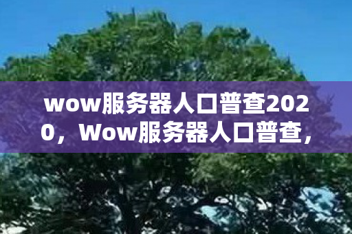 wow服务器人口普查2020，Wow服务器人口普查，揭示数字背后的故事