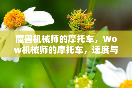 魔兽机械师的摩托车，Wow机械师的摩托车，速度与激情的完美融合