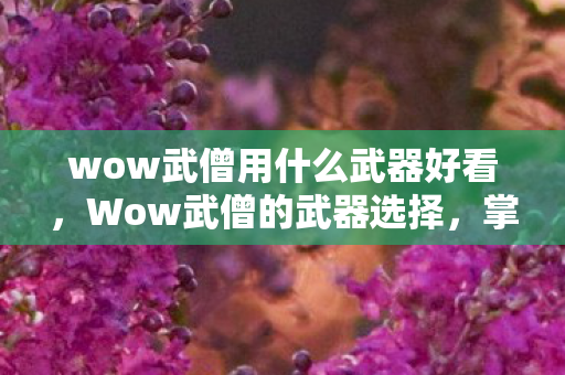 wow武僧用什么武器好看，Wow武僧的武器选择，掌握多样性与独特性的完美结合