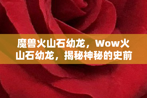 魔兽火山石幼龙，Wow火山石幼龙，揭秘神秘的史前生物化石