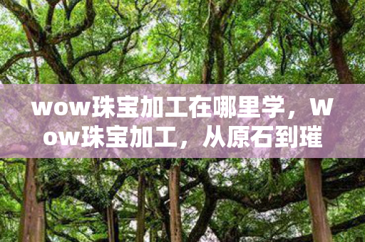 wow珠宝加工在哪里学，Wow珠宝加工，从原石到璀璨饰品的奇妙旅程