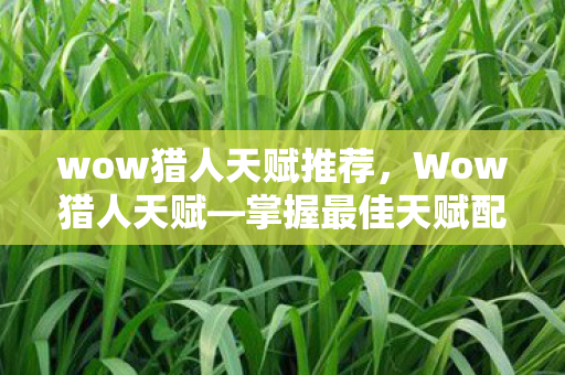 wow猎人天赋推荐，Wow猎人天赋—掌握最佳天赋配置，成为顶尖猎人！