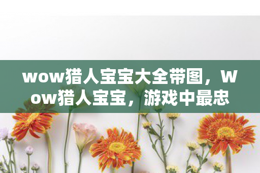 wow猎人宝宝大全带图，Wow猎人宝宝，游戏中最忠诚的伙伴