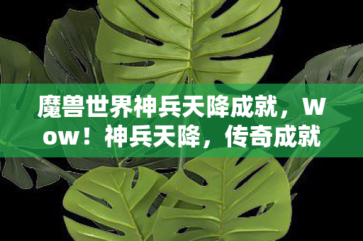 魔兽世界神兵天降成就，Wow！神兵天降，传奇成就的背后故事