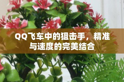 QQ飞车中的狙击手，精准与速度的完美结合