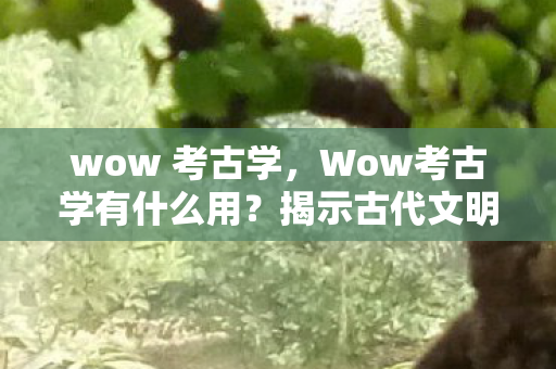 wow 考古学，Wow考古学有什么用？揭示古代文明的秘密与魅力