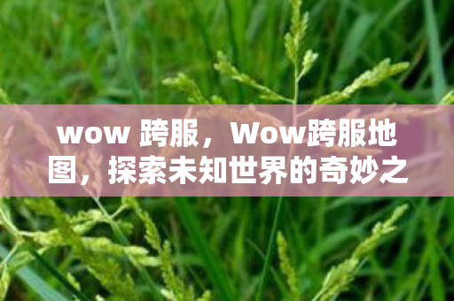 wow 跨服，Wow跨服地图，探索未知世界的奇妙之旅