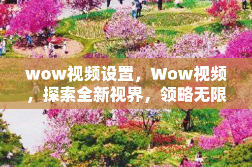 wow视频设置，Wow视频，探索全新视界，领略无限精彩