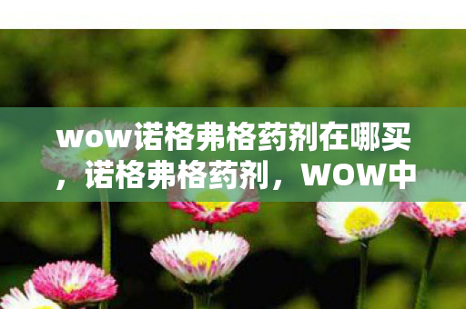 wow诺格弗格药剂在哪买，诺格弗格药剂，WOW中的神秘药剂，你真的了解它吗？