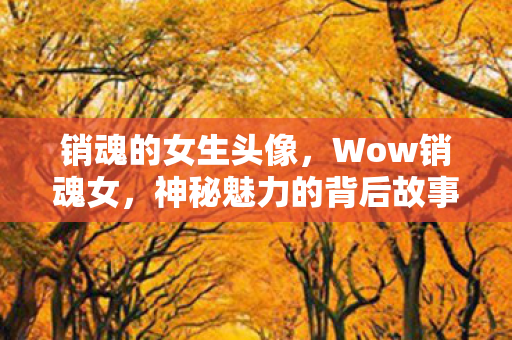 销魂的女生头像,Wow销魂女,神秘魅力的背后故事 销魂的女生头像,Wow销魂女,神秘魅力的背后故事