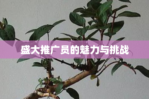 盛大推广员的魅力与挑战