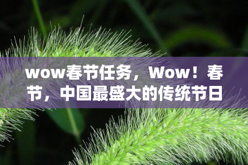 wow春节任务，Wow！春节，中国最盛大的传统节日