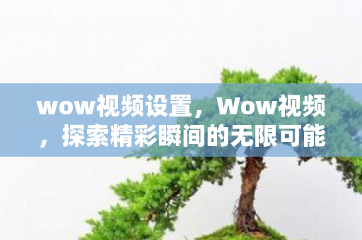 wow视频设置，Wow视频，探索精彩瞬间的无限可能