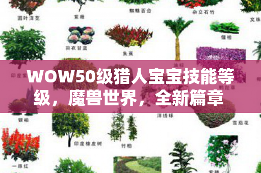 WOW50级猎人宝宝技能等级，魔兽世界，全新篇章 5.0版本深度解析
