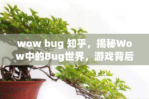 wow bug 知乎，揭秘Wow中的Bug世界，游戏背后的神秘故事