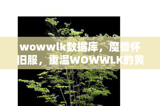 wowwlk数据库，魔兽怀旧服，重温WOWWLK的黄金时代
