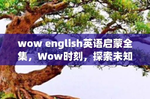 wow english英语启蒙全集，Wow时刻，探索未知世界的奇妙之旅