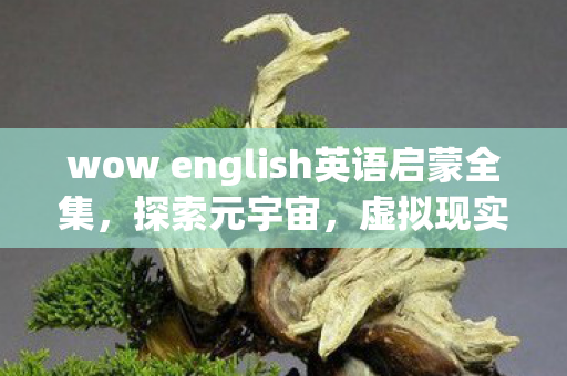 wow english英语启蒙全集，探索元宇宙，虚拟现实技术的无限可能和未来趋势