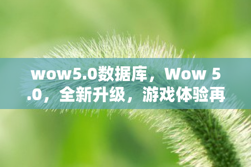 wow5.0数据库，Wow 5.0，全新升级，游戏体验再升级！