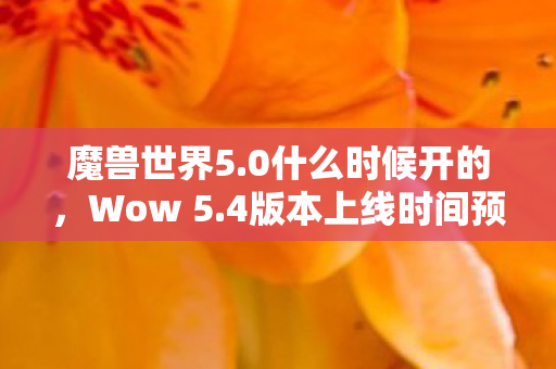 魔兽世界5.0什么时候开的，Wow 5.4版本上线时间预测与期待