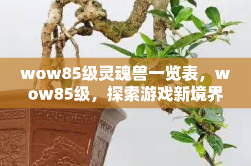 wow85级灵魂兽一览表，wow85级，探索游戏新境界的挑战与机遇