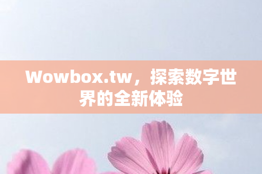 Wowbox.tw，探索数字世界的全新体验