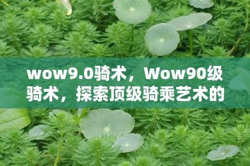 wow9.0骑术，Wow90级骑术，探索顶级骑乘艺术的奥秘