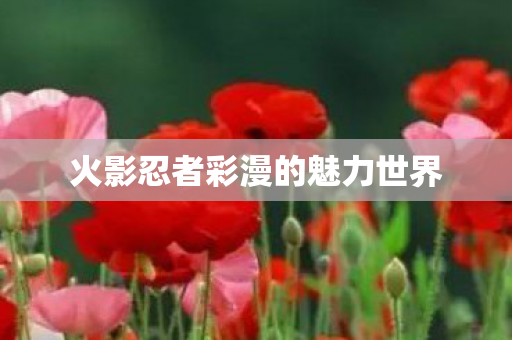 火影忍者彩漫的魅力世界 火影忍者彩漫的魅力世界