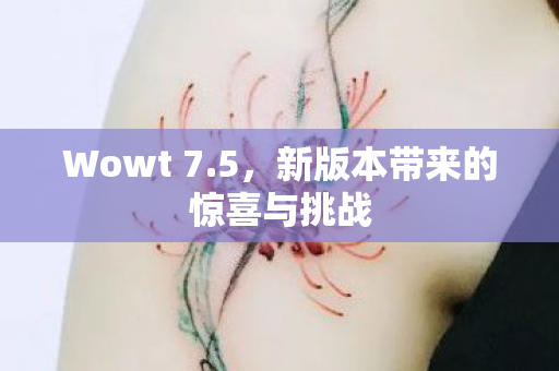 Wowt 7.5，新版本带来的惊喜与挑战
