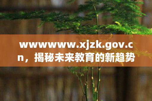 wwwwww.xjzk.gov.cn，揭秘未来教育的新趋势与挑战，如何引领教育数字化转型？