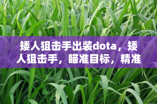 矮人狙击手出装dota，矮人狙击手，瞄准目标，精准出击的传奇人物