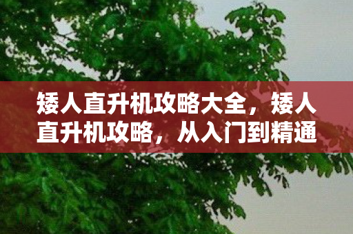 矮人直升机攻略大全，矮人直升机攻略，从入门到精通