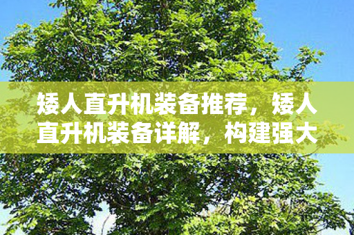 矮人直升机装备推荐，矮人直升机装备详解，构建强大的空中力量