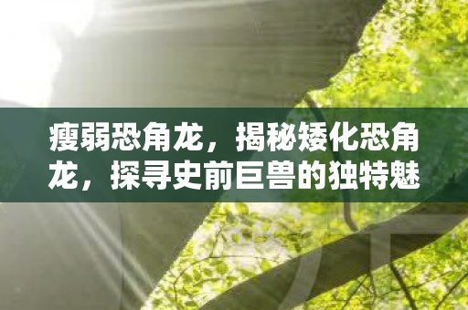 瘦弱恐角龙，揭秘矮化恐角龙，探寻史前巨兽的独特魅力