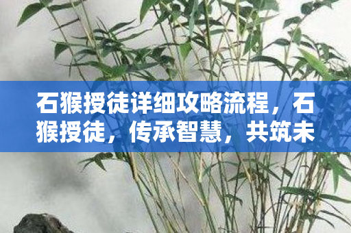 石猴授徒详细攻略流程，石猴授徒，传承智慧，共筑未来