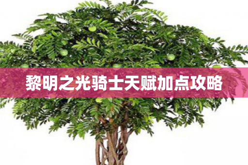 黎明之光骑士天赋加点攻略