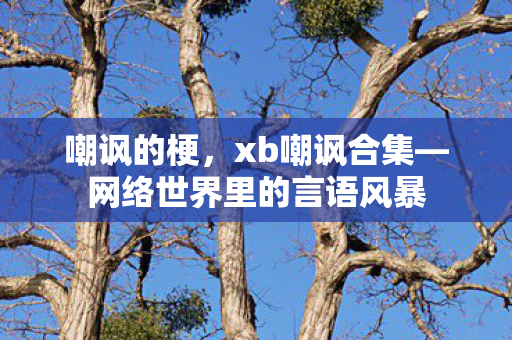 嘲讽的梗，xb嘲讽合集—网络世界里的言语风暴