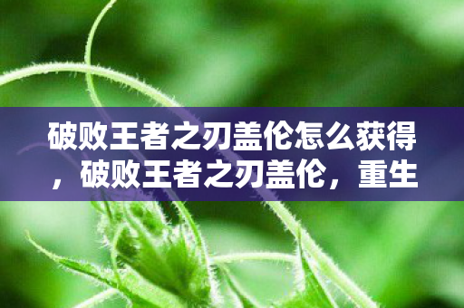 破败王者之刃盖伦怎么获得，破败王者之刃盖伦，重生与荣耀的传奇之旅