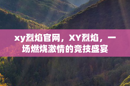 xy烈焰官网，XY烈焰，一场燃烧激情的竞技盛宴