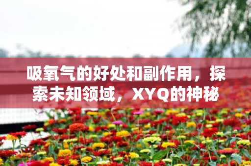 吸氧气的好处和副作用，探索未知领域，XYQ的神秘面纱揭晓