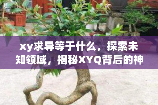 xy求导等于什么，探索未知领域，揭秘XYQ背后的神秘面纱