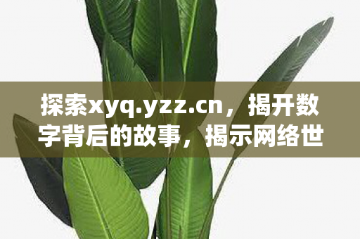 探索xyq.yzz.cn，揭开数字背后的故事，揭示网络世界的奥秘