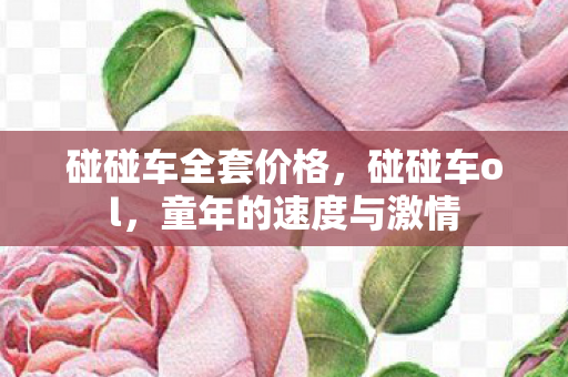 碰碰车全套价格，碰碰车ol，童年的速度与激情