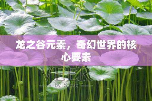 龙之谷元素，奇幻世界的核心要素