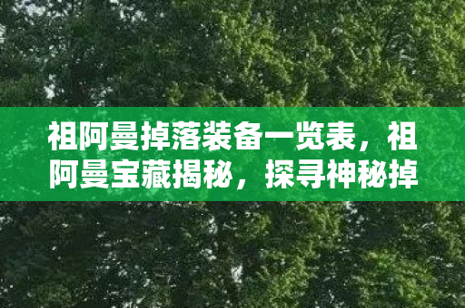 祖阿曼掉落装备一览表，祖阿曼宝藏揭秘，探寻神秘掉落物之旅