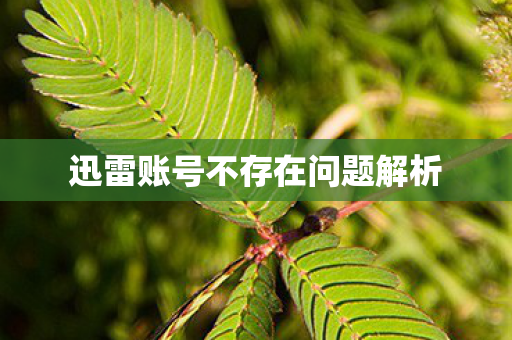 迅雷账号不存在问题解析