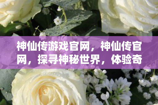 神仙传游戏官网，神仙传官网，探寻神秘世界，体验奇幻之旅