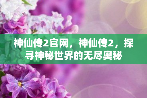 神仙传2官网，神仙传2，探寻神秘世界的无尽奥秘