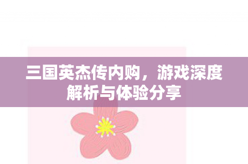 三国英杰传内购，游戏深度解析与体验分享